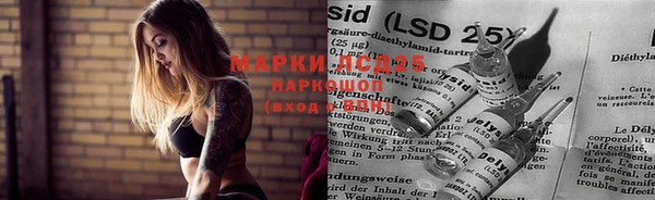 ПСИЛОЦИБИНОВЫЕ ГРИБЫ Баксан