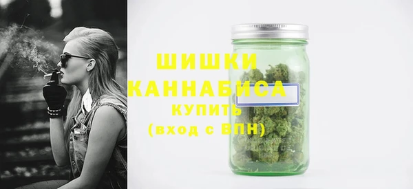 ПСИЛОЦИБИНОВЫЕ ГРИБЫ Баксан