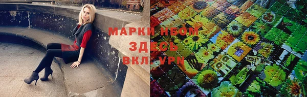 ПСИЛОЦИБИНОВЫЕ ГРИБЫ Баксан