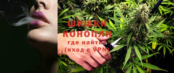 ПСИЛОЦИБИНОВЫЕ ГРИБЫ Баксан